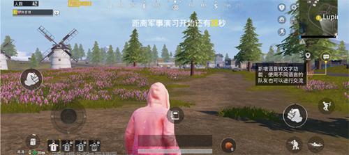 pubg国际服