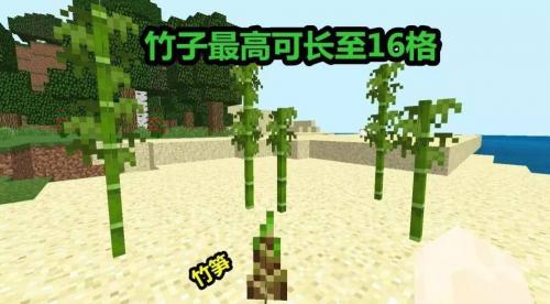 我的世界基岩版1.14