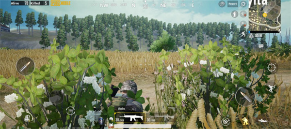 pubg地铁逃生最新版本