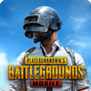 pubg国际服手游